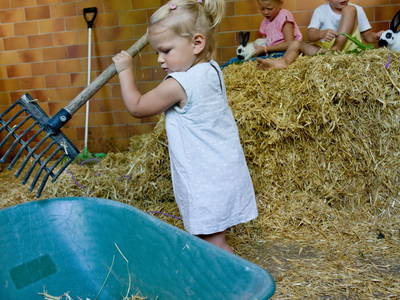 Bild 4 aus  Ferienhof Schoppa-Haisl