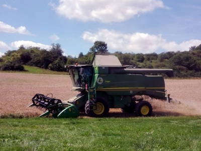 Bild 8 aus  Schmidts Ferienhof - Tierisch guter Urlaub im Herzen Deutschlands