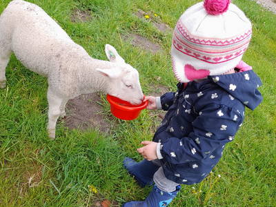 Bild 18 aus  Hof Janssen