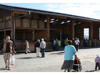 Bild 6 aus  Bauerngut Schiefelbusch