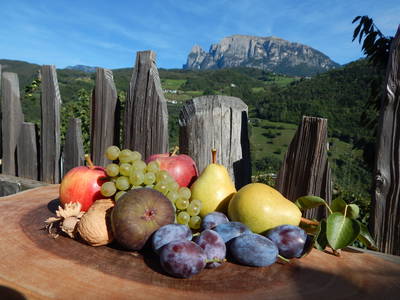 Bild 9 aus  Pignathof