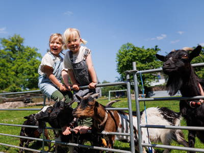 Bild 6 aus  Ferienhof Sonnengarten