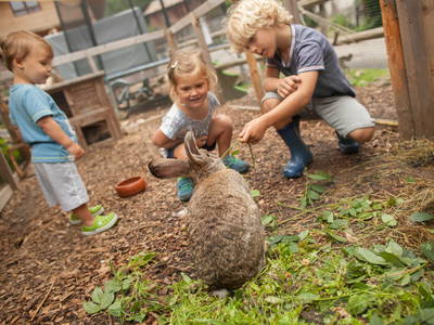 Streichelzoo Hilserhof