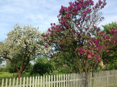 Bild 13 aus  Hollerhof-Oderbruch