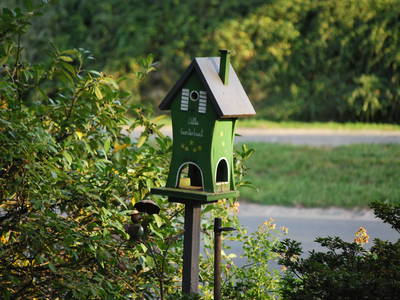 Bild 21 aus  Cohrshof