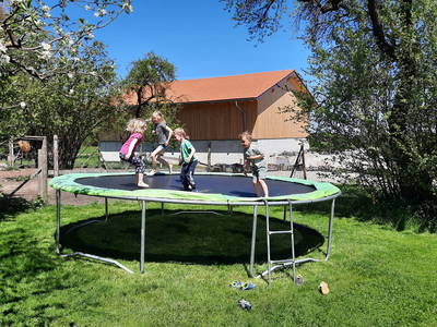 Bild 21 aus  Mojer Hof