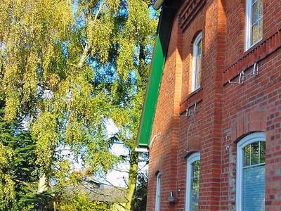 Bild 5 aus  Sonis kleine Farm Grömitz