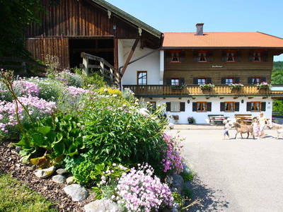 Bild 4 aus  Herbstbauernhof