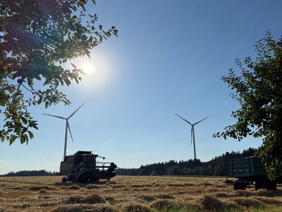 Bild 10 aus  Georgihof