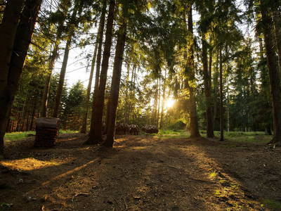 Bild 13 aus  Hatzeshof