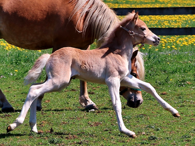Bild 19 aus  Augustinerhof