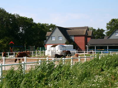 Bild 26 aus  Ferienhof Peter -  Ponys - streicheln, striegeln, füttern  -  Wattwanderungen + ganz viel Nordsee