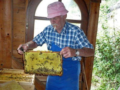 Bild 25 aus  Appartement Birkenhof - Urlaub mit Pferden und Alpakas