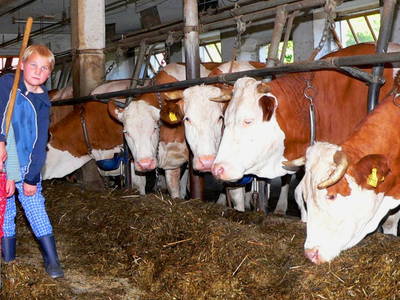 Bild 15 aus  Ferienhof Kopp