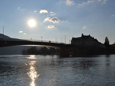 Bild 16 aus  Ferienwohnung Weingut Mathy Schanz