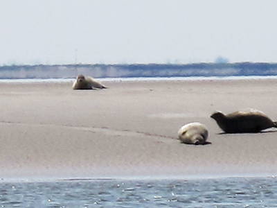 Bild 22 aus  An der See.de