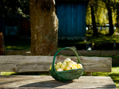 Bild 13 aus  KnallerbsenHof