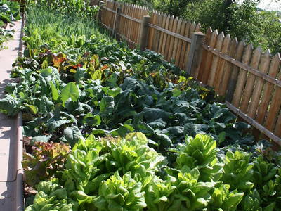 Bild 34 aus  Backhaus Grüntal