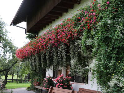 Bild 6 aus  Doasahof