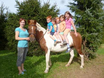 Bild 16 aus  Ferienbauernhof    "Pension Landhof "