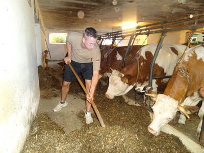 Bild 10 aus  Schwarz-Hof