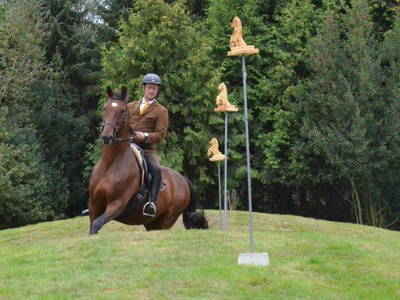 Dressurarbeit auf den Hügeln