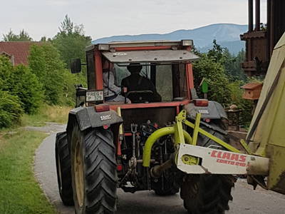 Bild 25 aus  Ferienhof Pauli