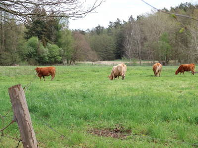Bild 32 aus  Gästehaus Maria Rast