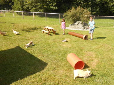 Bild 16 aus  Kaiserhof am See