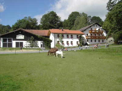 Bild 2 aus  Kinderparadies Höcker - Bio-Bauernhof
