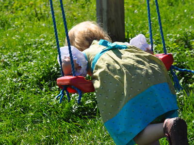 Bild 34 aus  Springerhof