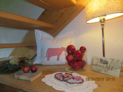 Bild 12 aus  Landhaus Alt mit  Bauernhof* Gesundes Wohnen In Freier Natur* Tolle-Angebote *Bergbahn Unlimited*