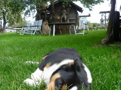 Bild 17 aus  Pension Baarblick