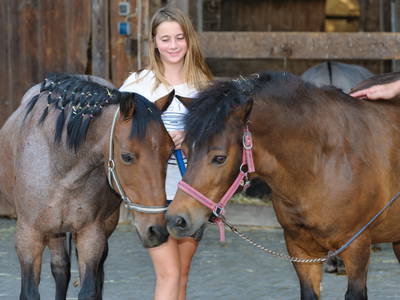 Bild 23 aus  Urlaub am Regen - Biobauernhof Dirnberger