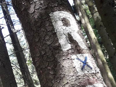 Rennsteig etwa 3 km von unseren Hütten entfernt, fußläufig bequem zu erreichen, Berggasthof Dreiherrstein erwartet sie zum Vesper