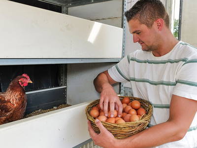 Bild 13 aus  Hofgut Willburger