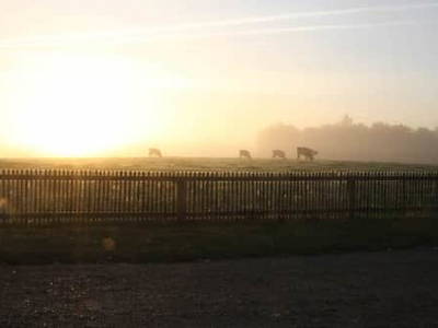 Bild 7 aus  Campinghof Dreisprung