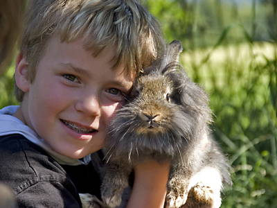 Bild 14 aus  Ferienwohnungen Kressenlehen