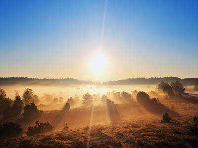 Bild 26 aus  Hof Bockelmann