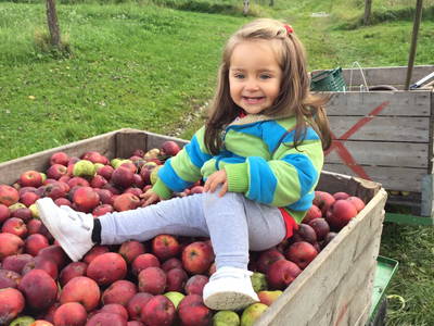 Bild 13 aus  Unterfrickhof