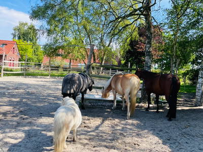 Bild 8 aus  Grünhoff's Landhuus