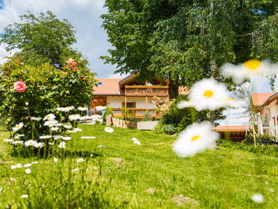 Bild 2 aus  Stettnerhof