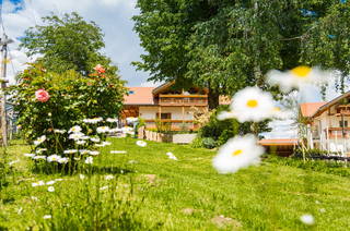 Stettnerhof aus Lana