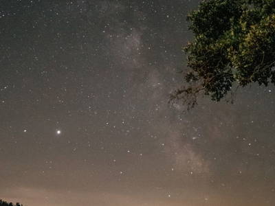 Bild 61 aus  Hofgut Schleinsee  - idyllisch am eigenen See
