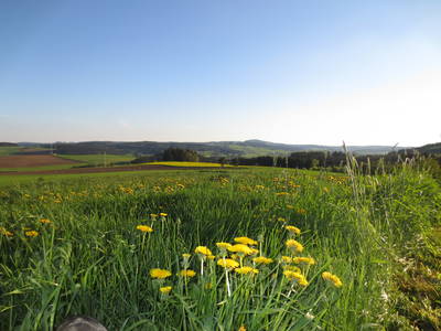 Bild 13 aus  Ferienhof Kießling