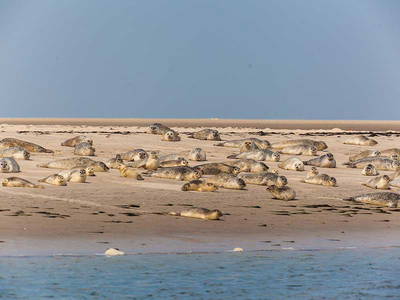 Bild 13 aus  Kastanienhof