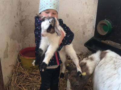 Bild 28 aus  Ferienhof Schlünzen