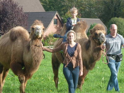 Bild 11 aus  Ferienhof  Jeiler