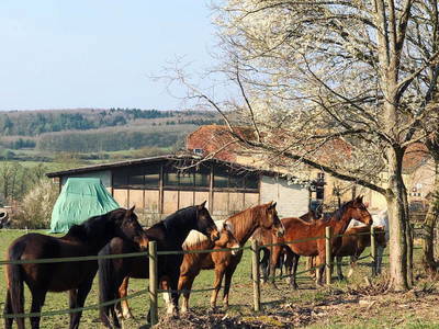 Bild 3 aus  Gutshof Hungerburg