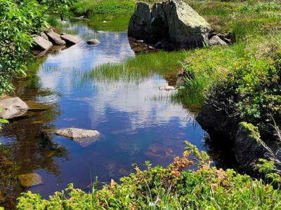 Bild 4 aus  Haus Steger